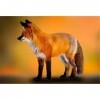 Puzzle 200 Pièces - Puzzles pour Adultes - Puzzles pour Enfants Jeux de Puzzles en Bois Puzzles Renard 200 Pièces pour Adulte