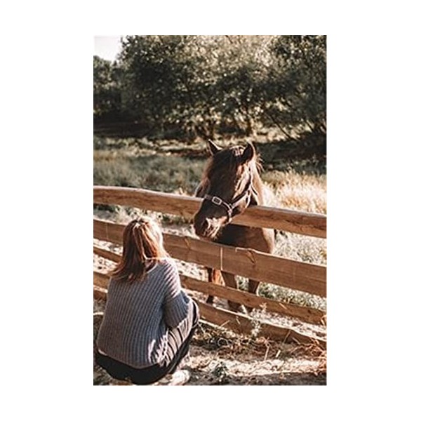 Puzzles pour Adultes Puzzle 200 pièces - Cheval dans la Prairie - pour Adultes 200 pièces Puzzle 200 pièces-25x35cm 9.84x13.7
