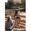 Puzzles pour Adultes Puzzle 200 pièces - Cheval dans la Prairie - pour Adultes 200 pièces Puzzle 200 pièces-25x35cm 9.84x13.7