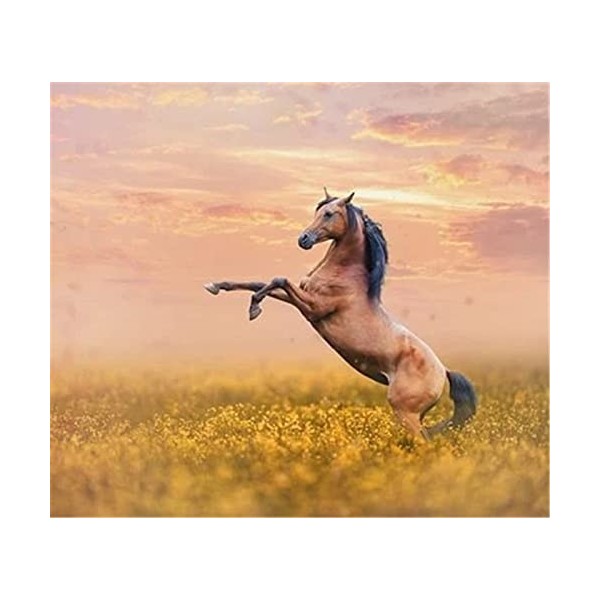 Puzzles pour Adultes Puzzle 200 pièces - Cheval dans la Prairie - pour Adultes 200 pièces Puzzle 200 pièces-25x35cm 9.84x13.7