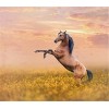 Puzzles pour Adultes Puzzle 200 pièces - Cheval dans la Prairie - pour Adultes 200 pièces Puzzle 200 pièces-25x35cm 9.84x13.7