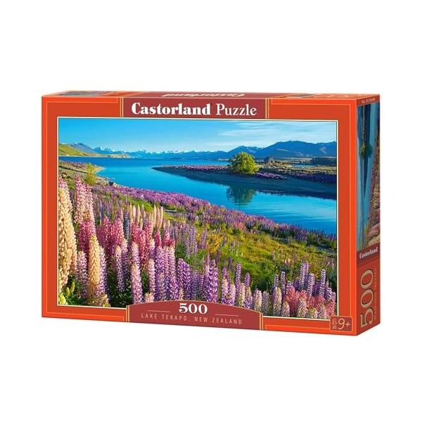 Castorland Puzzles emboîtables, 53896, Multicolore