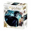 Prime 3D Puzzle lenticulaire Harry Potter Effet 3D , 500 pièces, 32556, Puzzle Lenticulaire Harry Potter Effet 3D 500 pièc