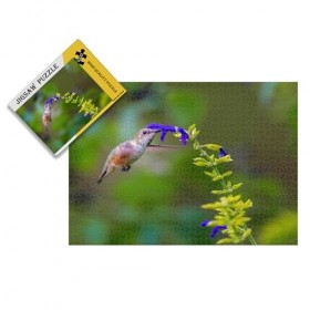Puzzle 1000 pièces Colibris collectant du Miel Puzzle en Papier Jolis Cadeaux – Puzzles Haut de Gamme pour Adultes – Affiche 