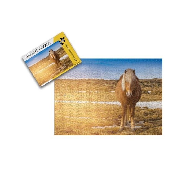 Puzzle pour Adultes 1000 pièces Puzzles pour Adultes, Puzzles 1000 pièces 38 * 26cm