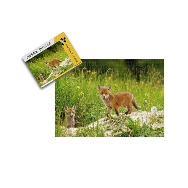 Puzzles pour Adultes Puzzles 1000 pièces Puzzles pour Adultes,Puzzles 1000 pièces pour Adultes 38 * 26cm