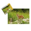 Puzzles pour Adultes Puzzles 1000 pièces Puzzles pour Adultes,Puzzles 1000 pièces pour Adultes 38 * 26cm