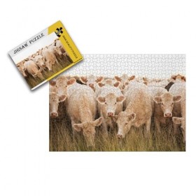 Puzzles 1000 pièces - - Puzzles 1000 pièces Jeux familiaux Puzzles pour Adultes 1000 pièces Puzzles Amusants et stimulants 38