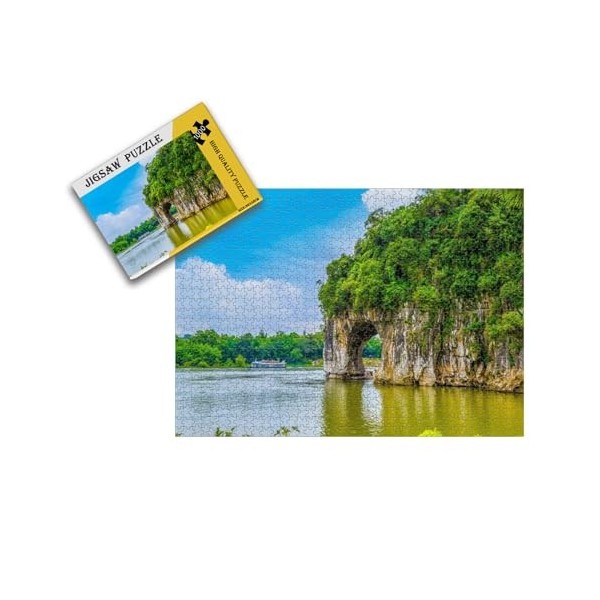 Puzzles pour Adultes, 1000 pièces, Cadeau, Puzzle de Sol, défi cérébral, Jeu Familial éducatif pour Enfants et Adolescents 38