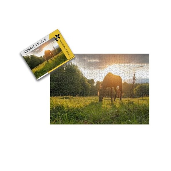 Puzzles pour Adultes Puzzles 1000 pièces Puzzles de 1000 pièces pour Adultes Grands Jeux de paysages Difficiles Puzzles 38 * 