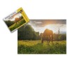 Puzzles pour Adultes Puzzles 1000 pièces Puzzles de 1000 pièces pour Adultes Grands Jeux de paysages Difficiles Puzzles 38 * 