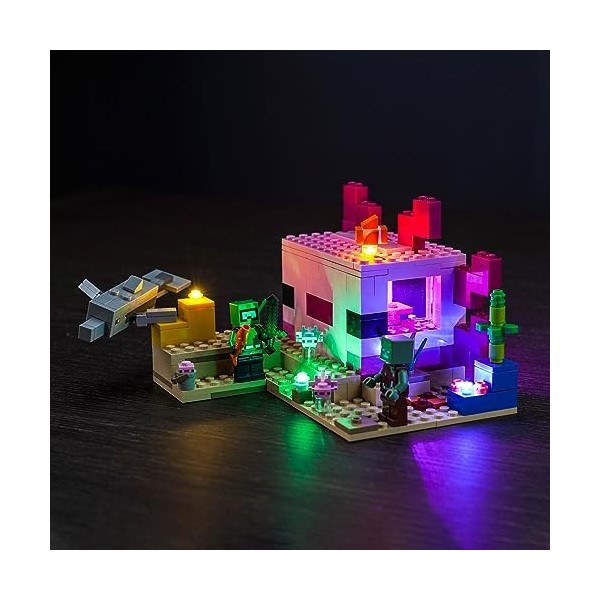 Jeu déclairage LED pour Lego Minecraft La Maison Axolotl Pas Lego , Jeu déclairage LED pour Minecraft Lego 21247 La Maison