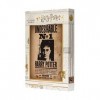 Sagas,Harry Potter RS531132 Puzzle Harry Potter Indeseable Nº1 1000 piezas, Multicolore, único