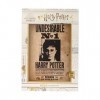 Sagas,Harry Potter RS531132 Puzzle Harry Potter Indeseable Nº1 1000 piezas, Multicolore, único