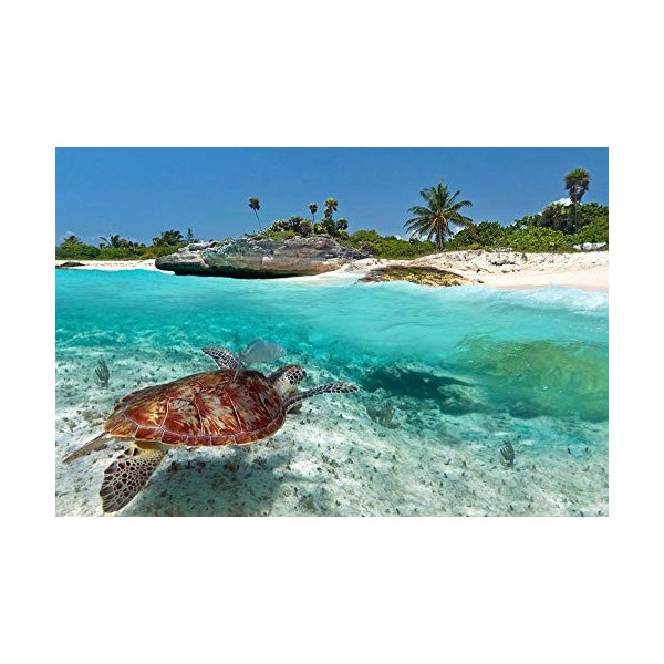 Adulte Puzzle 1000 Pièces en Bois Puzzles Tortue De Mer dans La Mer Enfant Puzzle Art DIY Jeu Occasionnel Jouets Cadeau Intér