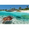 Adulte Puzzle 1000 Pièces en Bois Puzzles Tortue De Mer dans La Mer Enfant Puzzle Art DIY Jeu Occasionnel Jouets Cadeau Intér