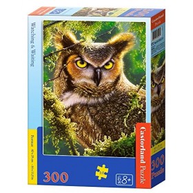 Castorland - B-030231 - Puzzle - Regarder et Attendre Hibou - 300 Pièces