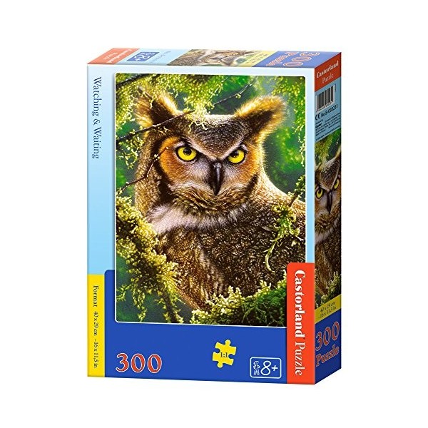 Castorland - B-030231 - Puzzle - Regarder et Attendre Hibou - 300 Pièces