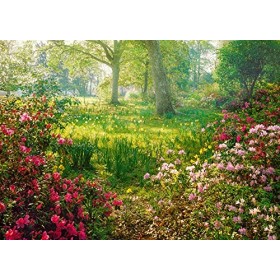 Ravensburger - Puzzle Adulte - Puzzle 1000 p - Prairie fleurie - 88923