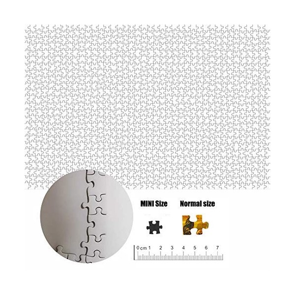 TINYOUTH Puzzle blanc de 1000 pièces, à peindre soi-même, 42 cm x 29,7 cm, 2 mm - Puzzle familial à impression réduite - Cadr