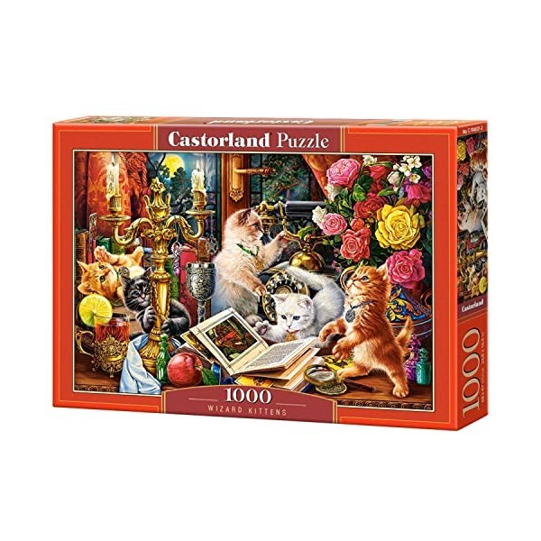 Castorland Puzzle 1000 pièces : Chatons Sorciers