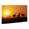 Nature Sunset Cerf Puzzle 500 pièces Puzzle en bois Cadeaux pour adulte Famille Mariage Graduation Cadeau Version verticale