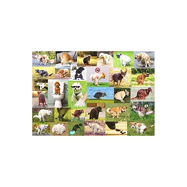 Puzzles de 1000 pièces pour adultes, puzzles pour les amoureux des chiens