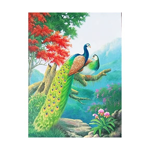 Puzzle 300 pièces Adultes Puzzles Peacock,300 Puzzle Difficile et Défi Campagne Jouets le fini mesure 52 x 38cm une fois term