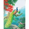 Puzzle 300 pièces Adultes Puzzles Peacock,300 Puzzle Difficile et Défi Campagne Jouets le fini mesure 52 x 38cm une fois term