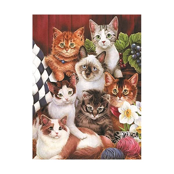 Puzzle 500 Pièces Adultes Le Chats 52 x 38 cm 500 Pièces Puzzles Adultes Jeu éducatif défi Jouet Puzzle 500 Pièces Adulte Enf