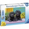 Ravensburger - Puzzle Enfant - Puzzle 300 p XXL - Labradors noirs - Dès 9 ans - 12950