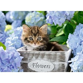 Ravensburger - Puzzle Enfant - Puzzle 300 pièces XXL - Petit chaton - Garçon ou fille à partir de 9 ans - Puzzle de qualité s