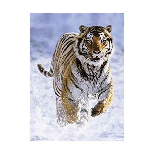 Ravensburger - Puzzle Adulte - Puzzle 500 p - Tigre dans la neige - 14475