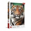 Trefl-Portrait de Tigre-Puzzle 1500 éléments-Puzzle pour Les Amoureux des Animaux, Chat Sauvage, DIY, Amusement, Puzzles Clas