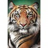 Trefl-Portrait de Tigre-Puzzle 1500 éléments-Puzzle pour Les Amoureux des Animaux, Chat Sauvage, DIY, Amusement, Puzzles Clas