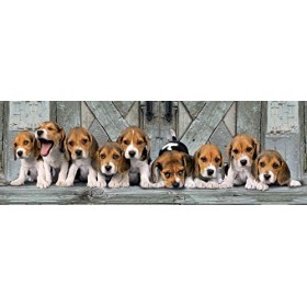 Clementoni - 39435 - Puzzle - Beagles - 1000 Pièces