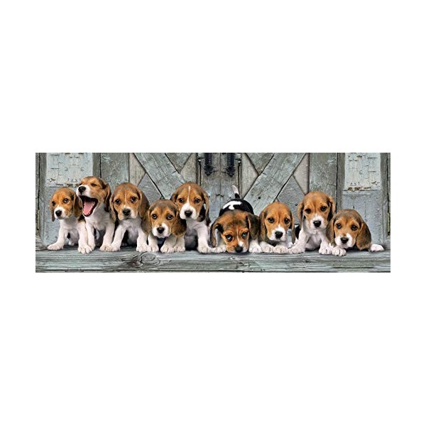 Clementoni - 39435 - Puzzle - Beagles - 1000 Pièces