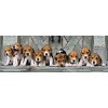 Clementoni - 39435 - Puzzle - Beagles - 1000 Pièces