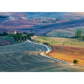 Ravensburger- Talent Collection : Podere Terrapille, Pienza, Sienne, Toscane Puzzle, 16779 1, Multicolore, 1000 Pezzi