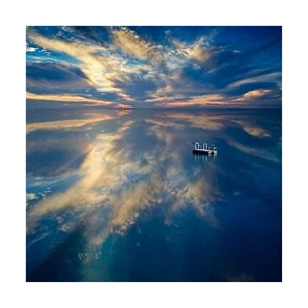 Puzzle 300 Pièces Puzzle Éducatif Jeu de Famille Fleurs dans Le Panier Cadeau pour Adultes et Enfants-26x38cm 10.23x14.96inch