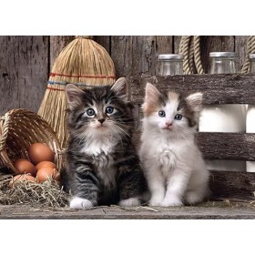 OTTO Puzzle Adulte 1000 Pieces : 2 Mignons Petits Chatons - Collection Animaux - Chat