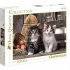 OTTO Puzzle Adulte 1000 Pieces : 2 Mignons Petits Chatons - Collection Animaux - Chat