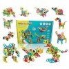 Lot de 189 jouets de construction STEM - créatifs - Construire des jouets éducatifs - Blocs dingénierie à partir de 5 6 7 8 