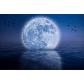 Yingxin34 Puzzles pour Adultes Puzzle 300 pièces - Lune et Oiseau - pour Adultes 300 pièces Puzzle 300 pièces-26x38cm 10.23x1