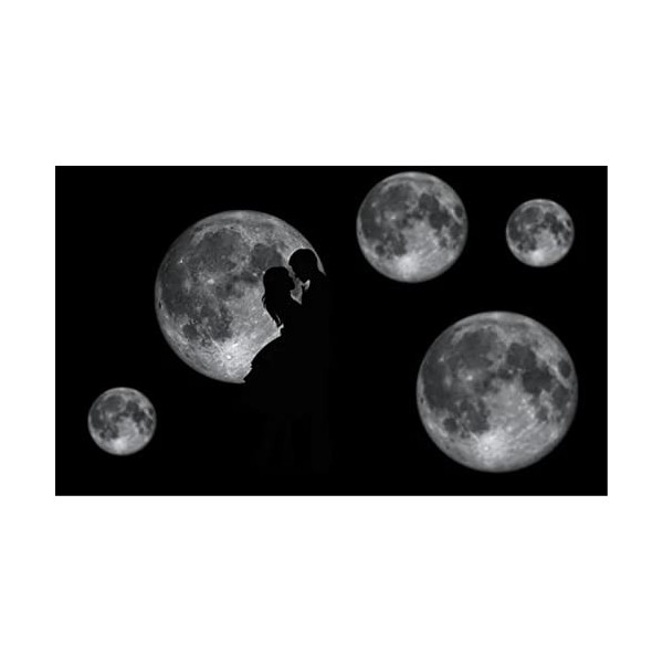 Yingxin34 Puzzles pour Adultes Puzzle 300 pièces - Lune et Oiseau - pour Adultes 300 pièces Puzzle 300 pièces-26x38cm 10.23x1