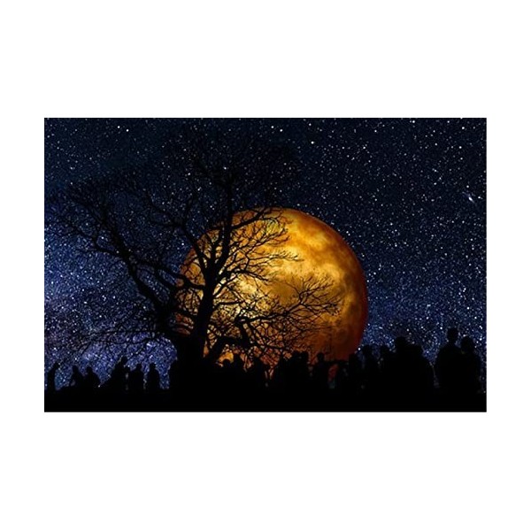 Yingxin34 Puzzles pour Adultes Puzzle 300 pièces - Lune et Oiseau - pour Adultes 300 pièces Puzzle 300 pièces-26x38cm 10.23x1