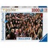 Ravensburger - Puzzle Adulte - Puzzle 1000 p - Harry Potter Challenge Puzzle - 14988