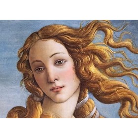 CherryPazzi Puzzle 1000 pièces : Visage de Vénus par Sandro Botticelli