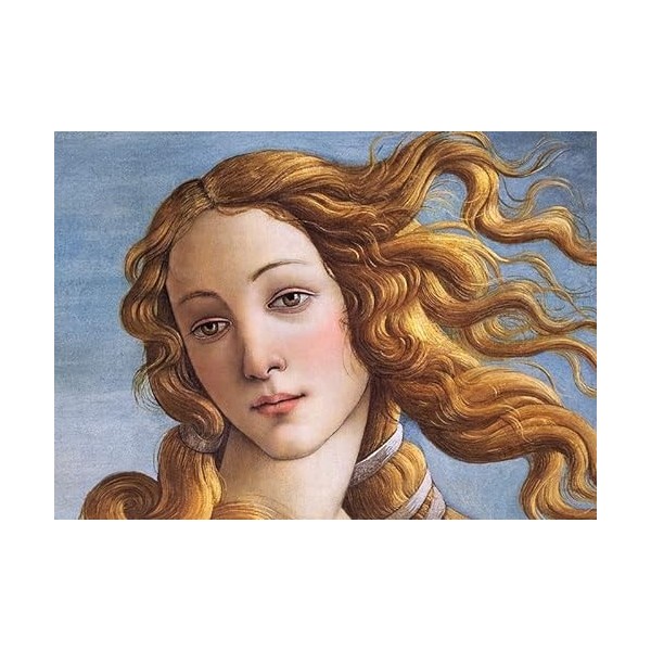 CherryPazzi Puzzle 1000 pièces : Visage de Vénus par Sandro Botticelli