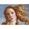 CherryPazzi Puzzle 1000 pièces : Visage de Vénus par Sandro Botticelli